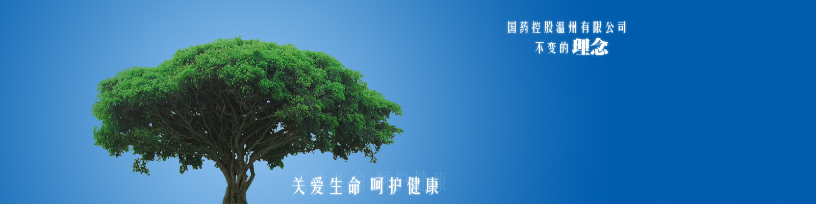 cDƬ鿴