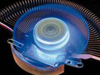 --LED(yng)I(lng)