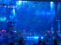 海底世界